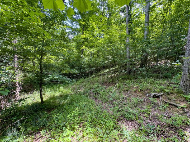 0 Symmes Creek Road , Patriot, OH 45658 Photo 23