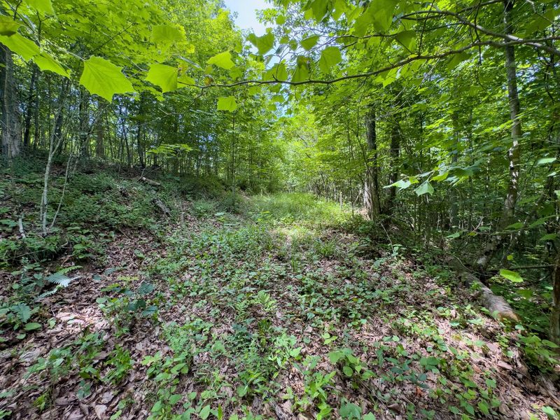 0 Symmes Creek Road , Patriot, OH 45658 Photo 24