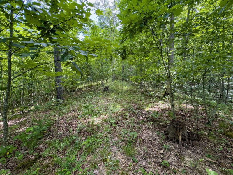 0 Symmes Creek Road , Patriot, OH 45658 Photo 25