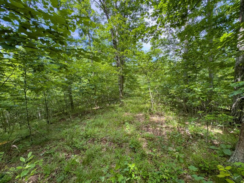 0 Symmes Creek Road , Patriot, OH 45658 Photo 26