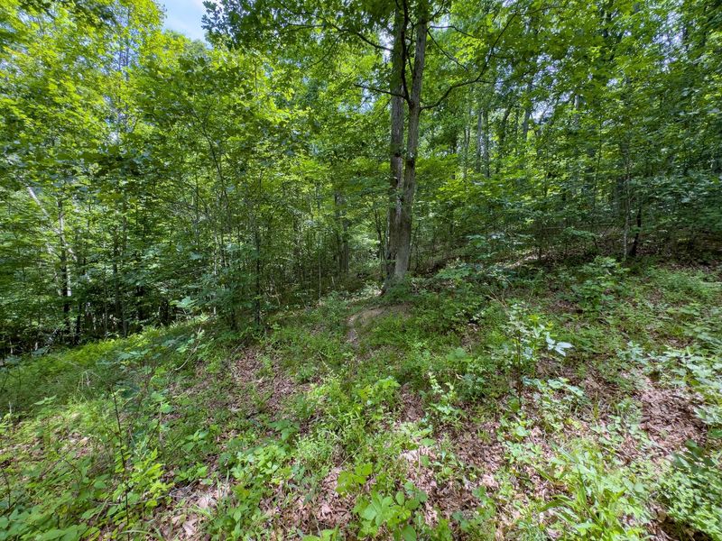 0 Symmes Creek Road , Patriot, OH 45658 Photo 27