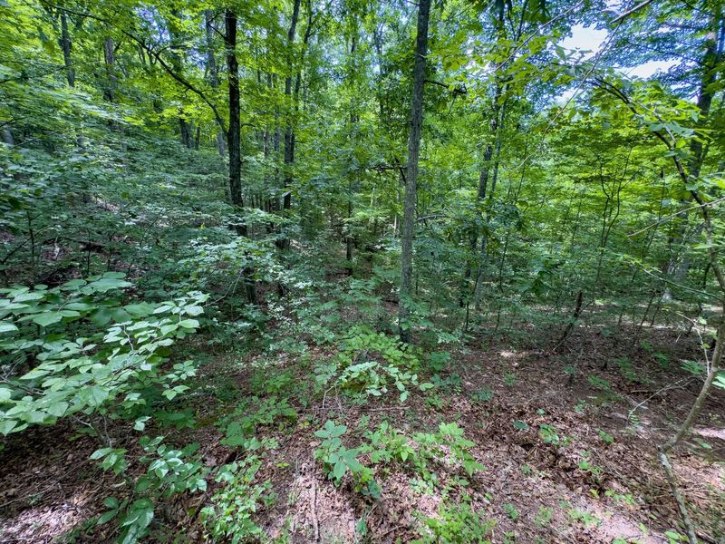 0 Symmes Creek Road , Patriot, OH 45658 Photo 28