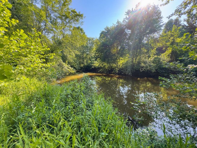 0 Symmes Creek Road , Patriot, OH 45658 Photo 6