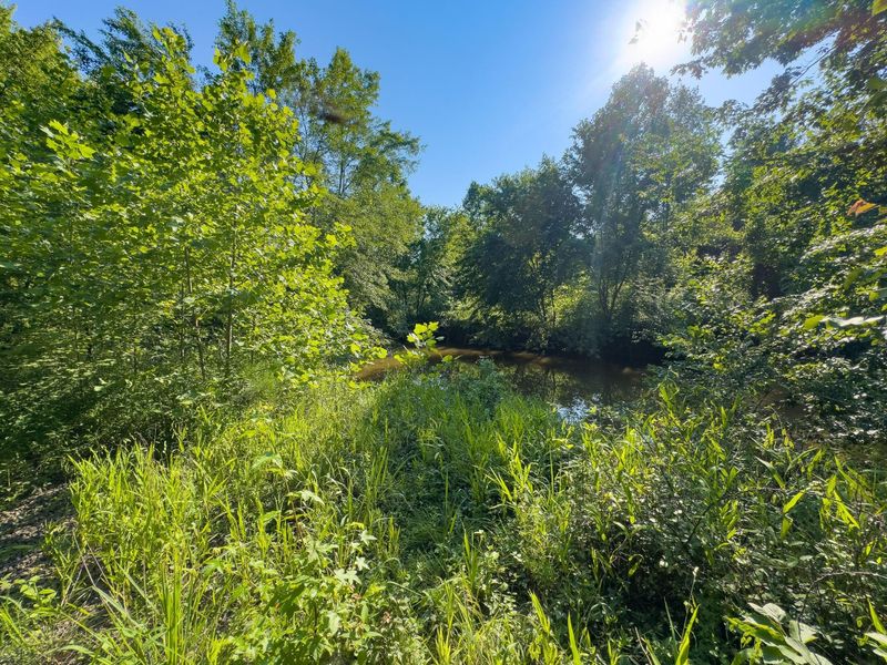 0 Symmes Creek Road , Patriot, OH 45658 Photo 9
