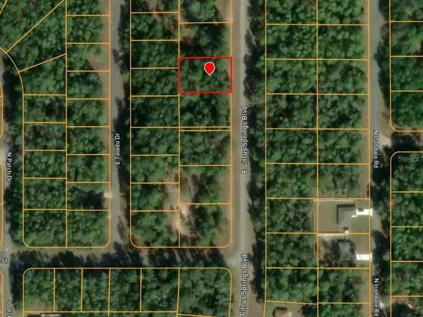 1495 E CITRUS SPRINGS BOULEVARD , CITRUS SPRINGS, FL 34434
