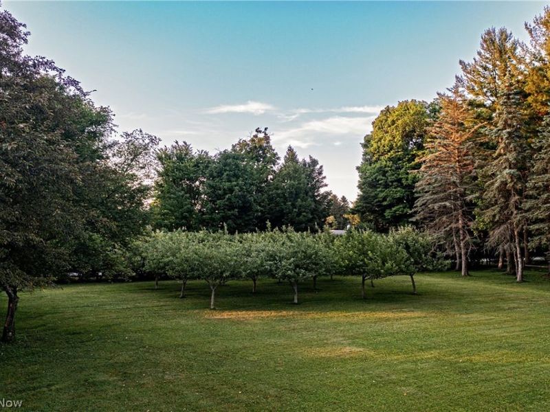 9498 Smith Road, Waite Hill, OH 44094 Photo 42