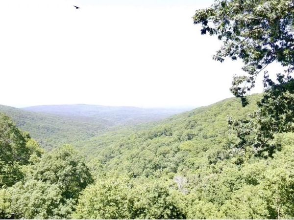 5800 White Oak Mountain Road, Hector, AR 72843