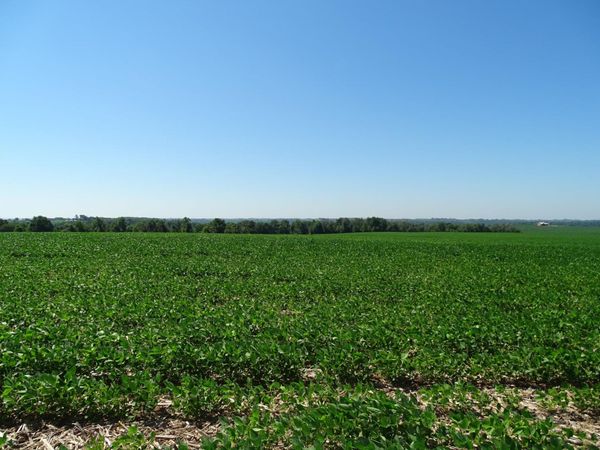 000 170th Avenue , Plum City, WI 54761