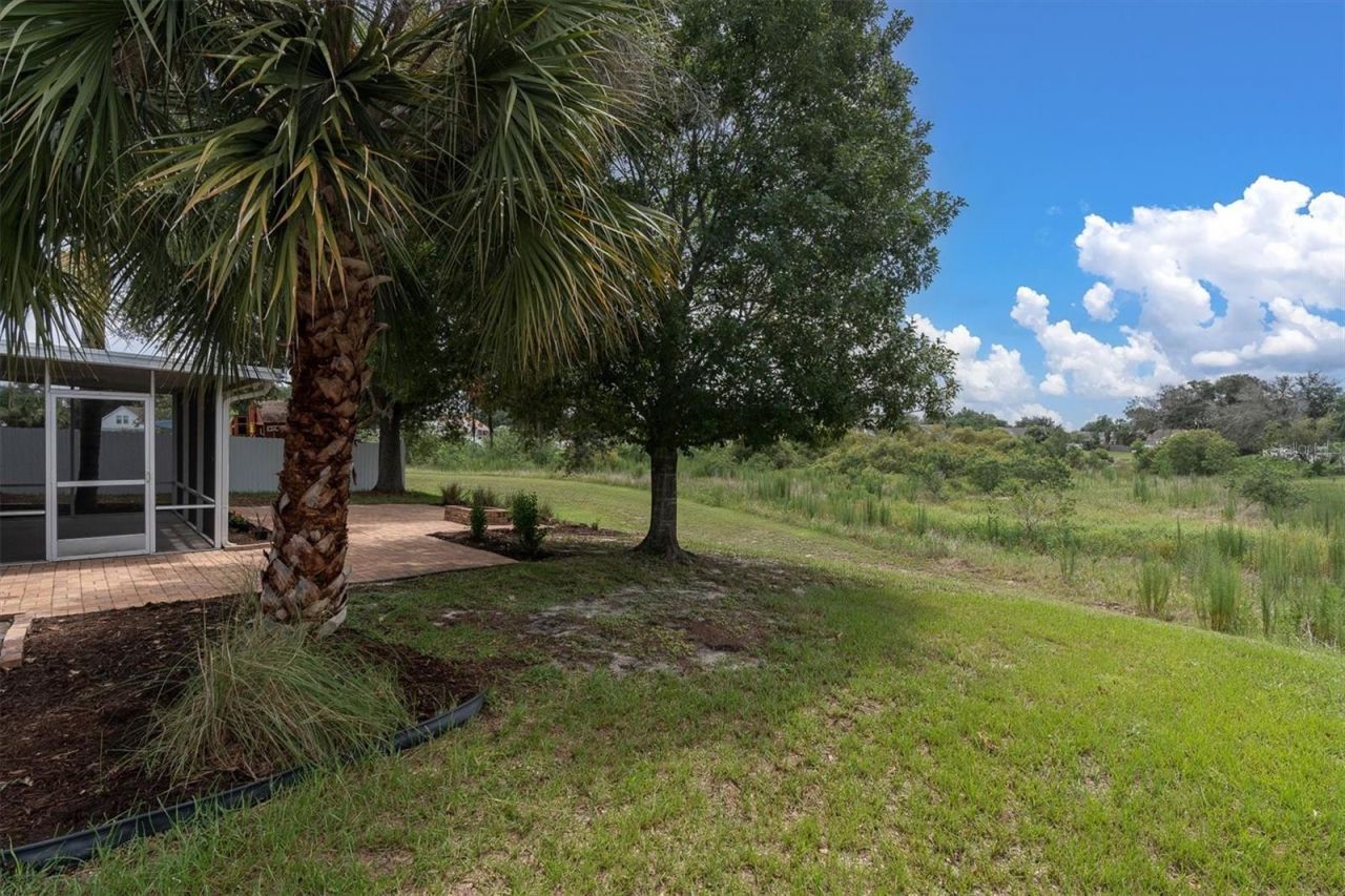 24308 Landing Drive , Lutz, FL 33559 Photo