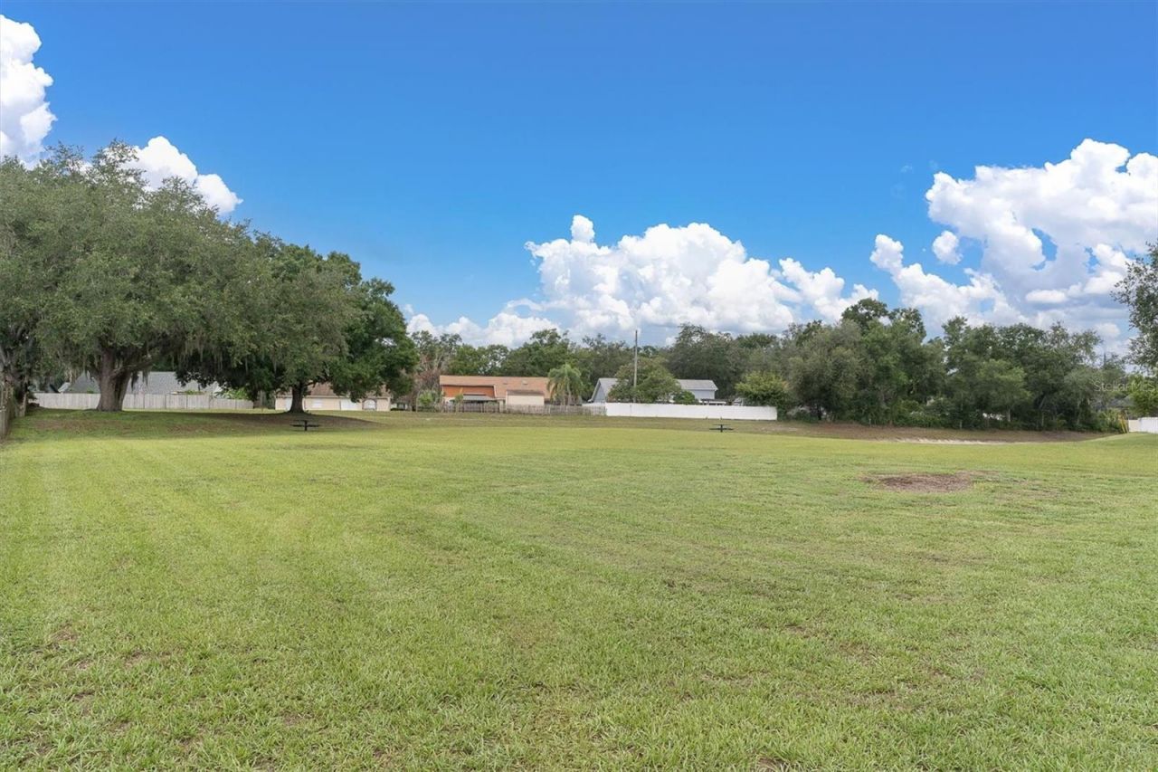 24308 Landing Drive , Lutz, FL 33559 Photo