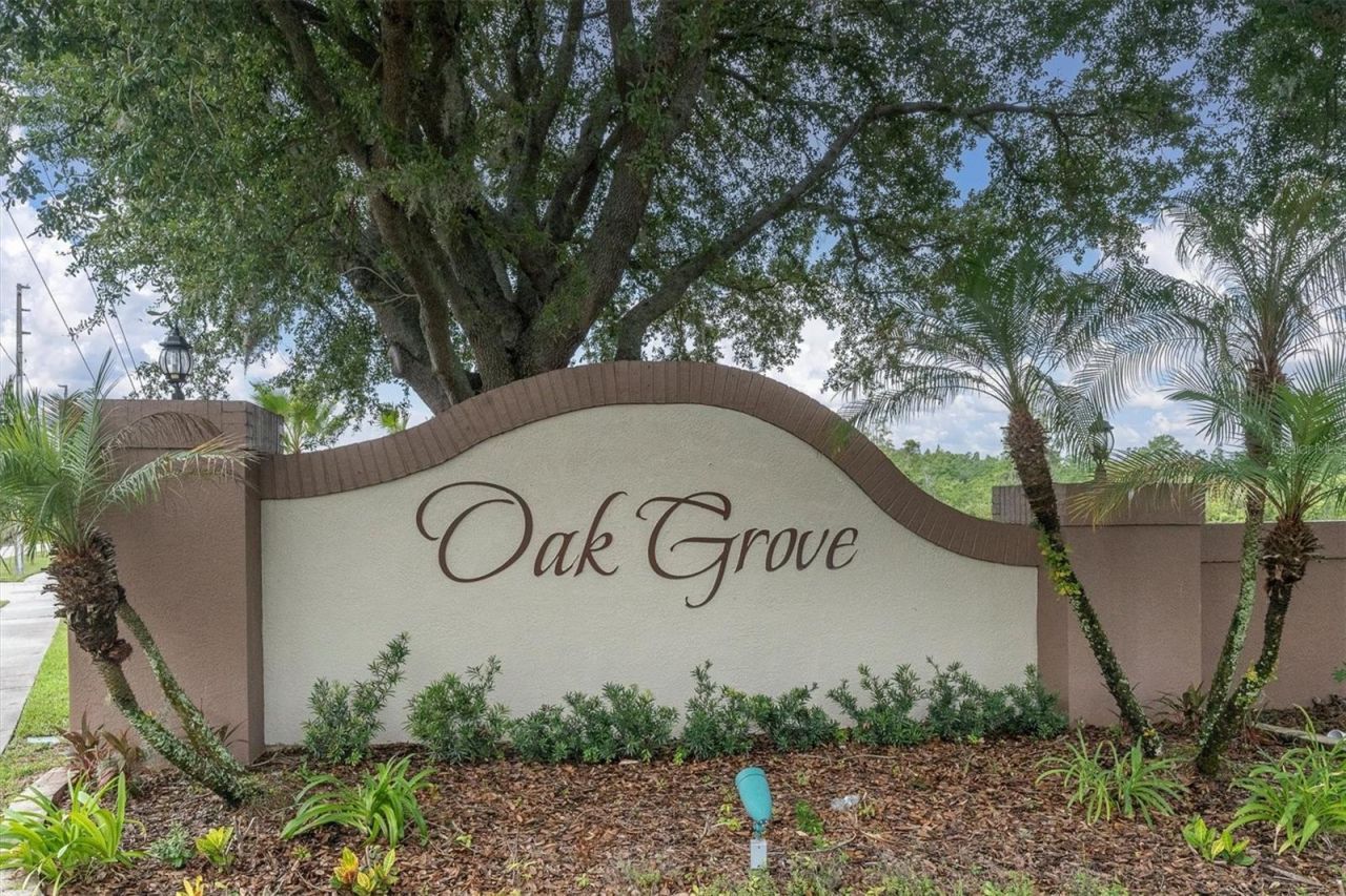 24308 Landing Drive , Lutz, FL 33559 Photo