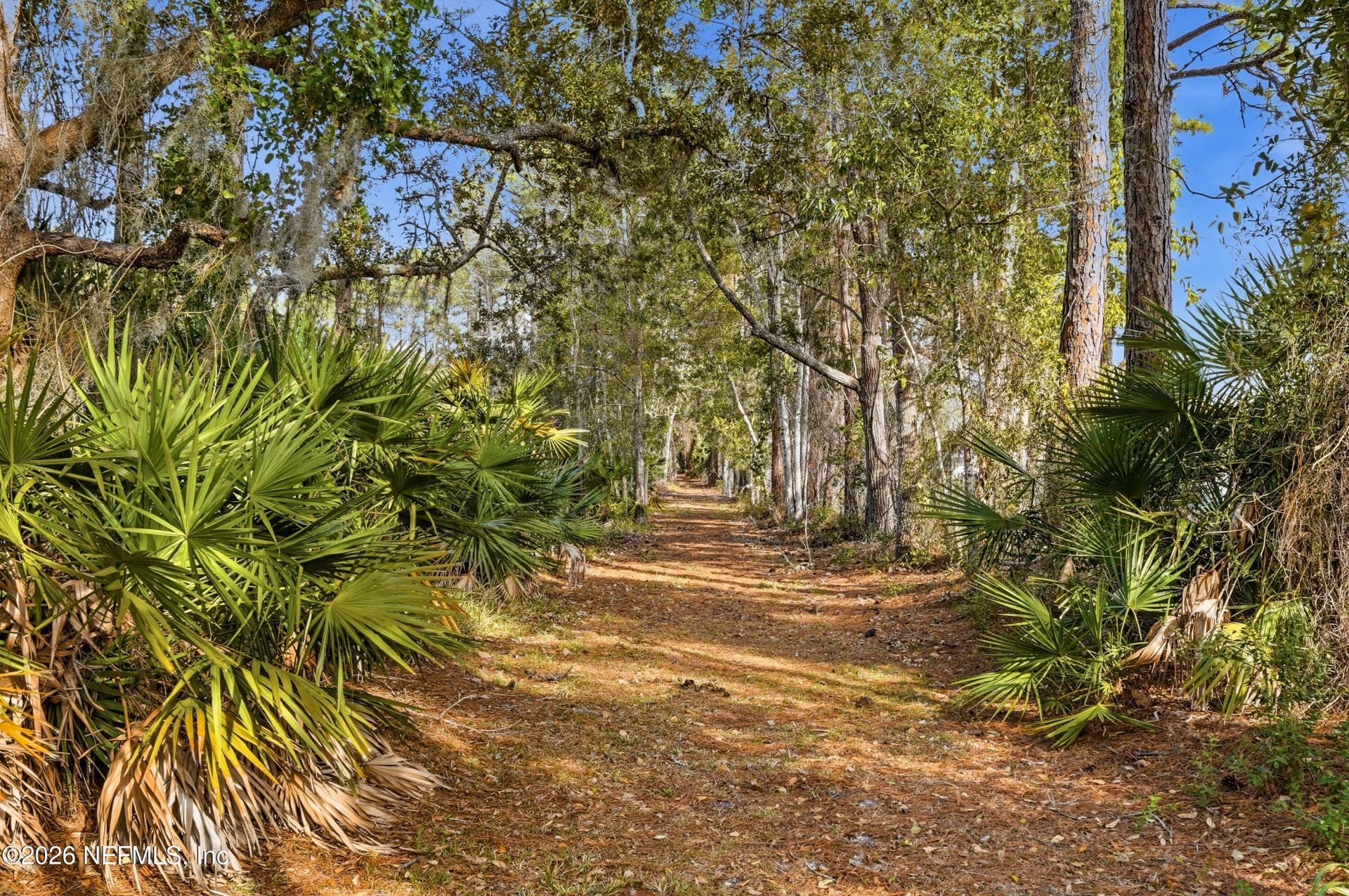 10601 Quail Ridge Drive, Ponte Vedra, FL 32081 Photo