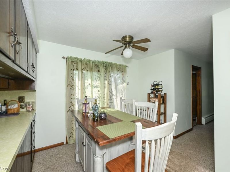 14838 State Route 301, Lagrange, OH 44050 Photo 15