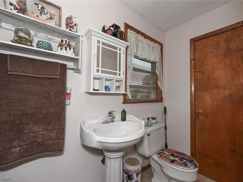 14838 State Route 301, Lagrange, OH 44050 Photo 18