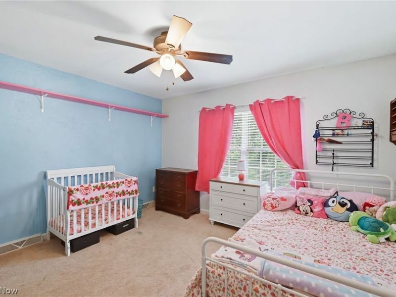 3645 Hunters Hill, Poland, OH 44514 Photo 31