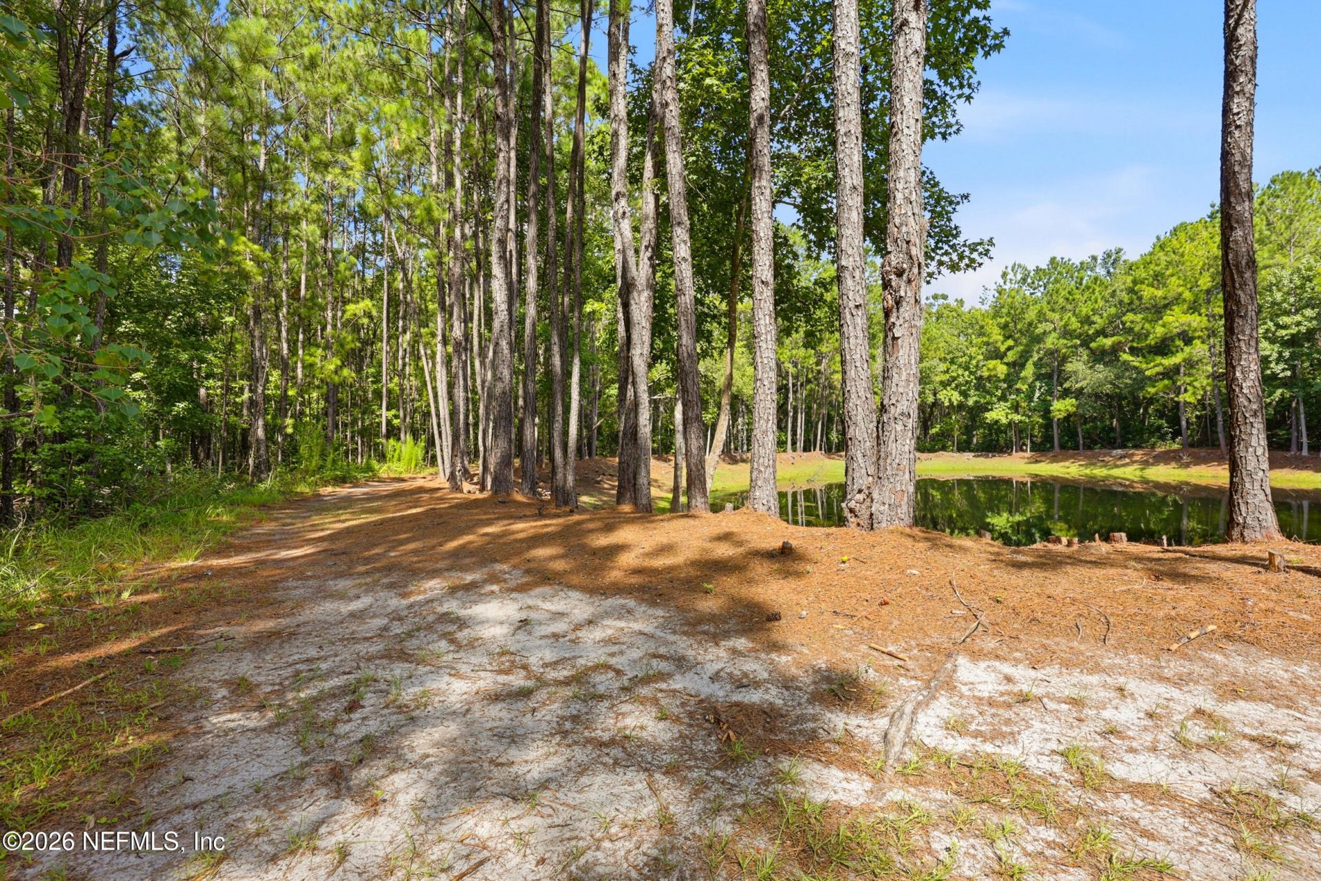 3260 County Road 209, Green Cove Springs, FL 32043 Photo