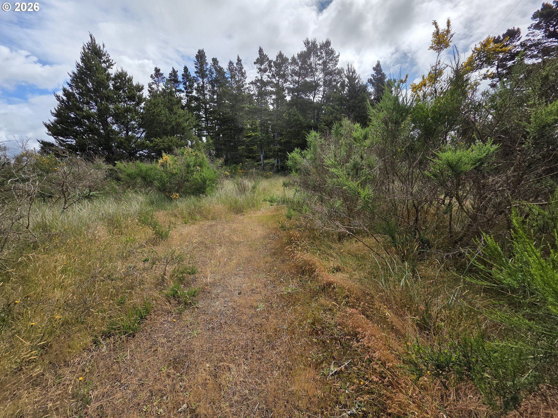 Highway 101, Florence, OR 97439 Main Photo