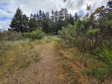 Highway 101, Florence, OR 97439