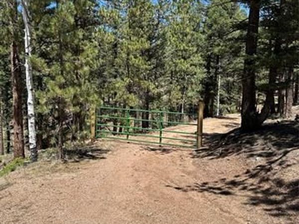 305 & 281 Midnight Lane, Florissant, CO 80816