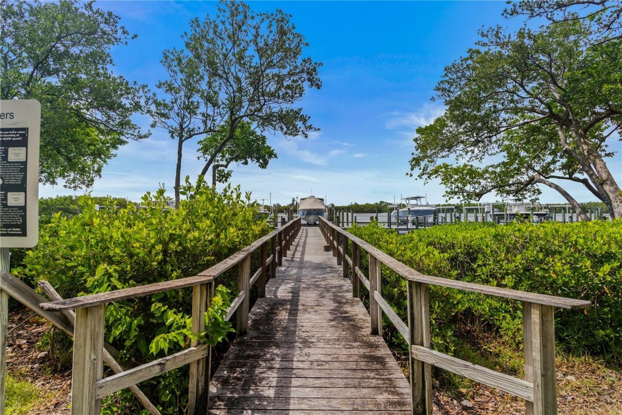 1008 Paseo Del Rio Ne, Saint Petersburg, FL 33702 Photo