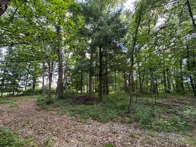 0 Woodhaven Lane, Goshen Twp, OH 45122 Photo 21