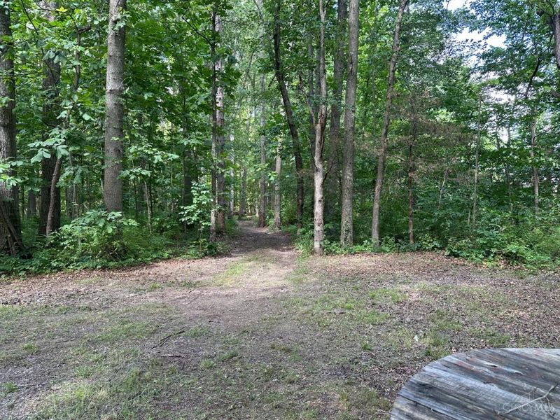 0 Woodhaven Lane, Goshen Twp, OH 45122 Photo 24