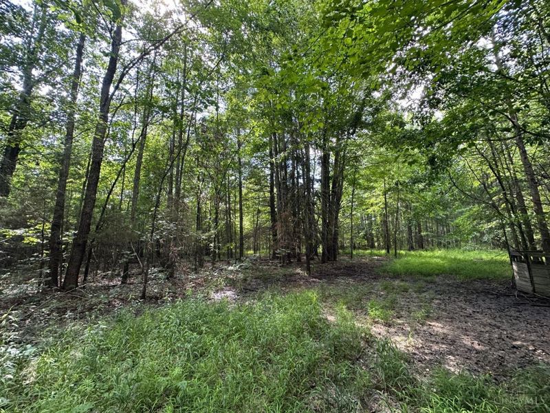 0 Woodhaven Lane, Goshen Twp, OH 45122 Photo 25