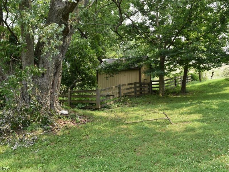 68895 Lloydsville Bannock Road, Belmont, OH 43718 Photo 7
