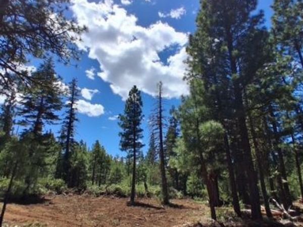 0 Quartz Lane , Alturas, CA 96101