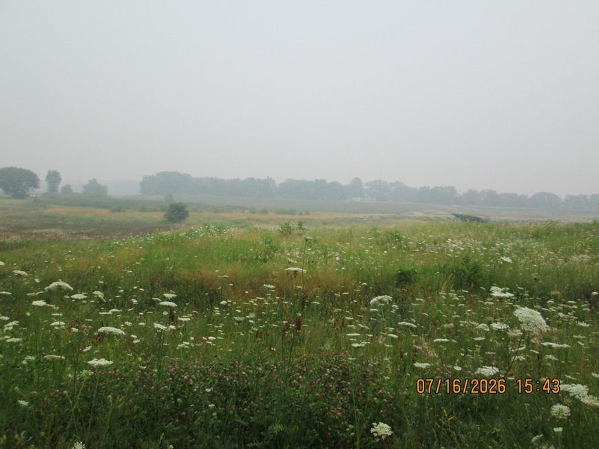 Main Photo