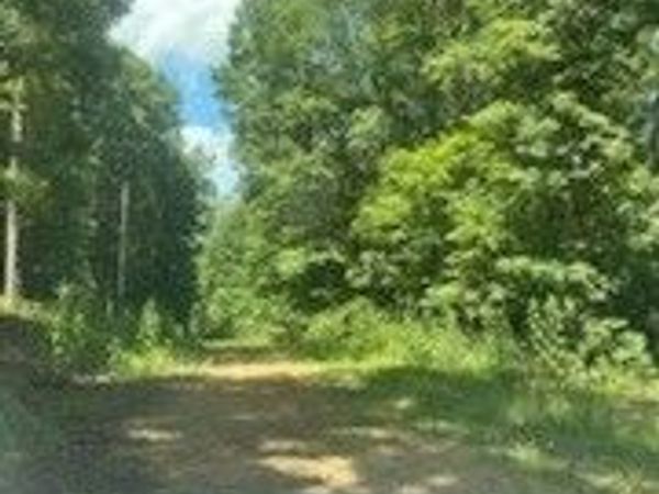 0 POND DR , Nunnelly, TN 37137