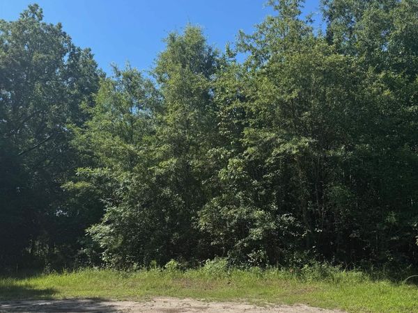 TBD Derrick Ct. , Marion, SC 29571