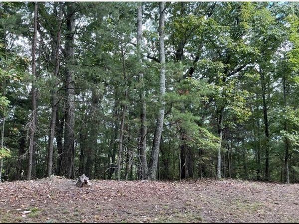 - W Farmview Road, Ellijay, GA 30175