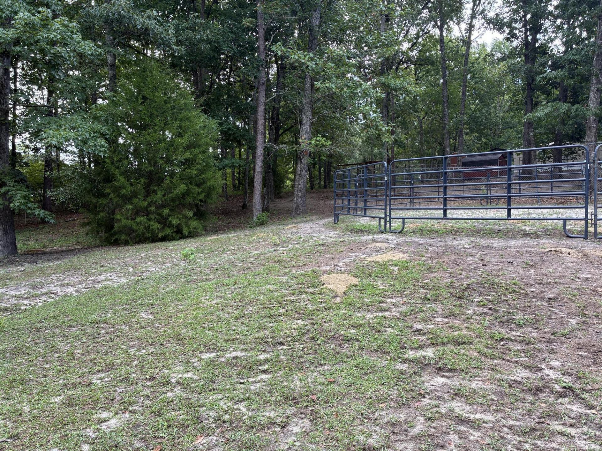 140 Edisto Drive Photo 10