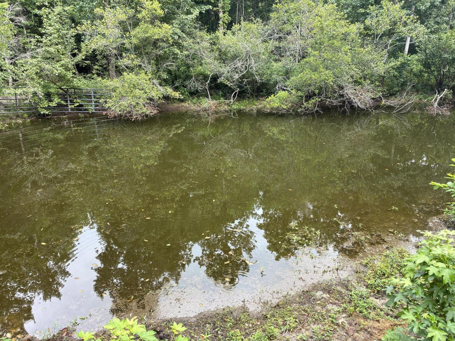 140 Edisto Drive Photo 11