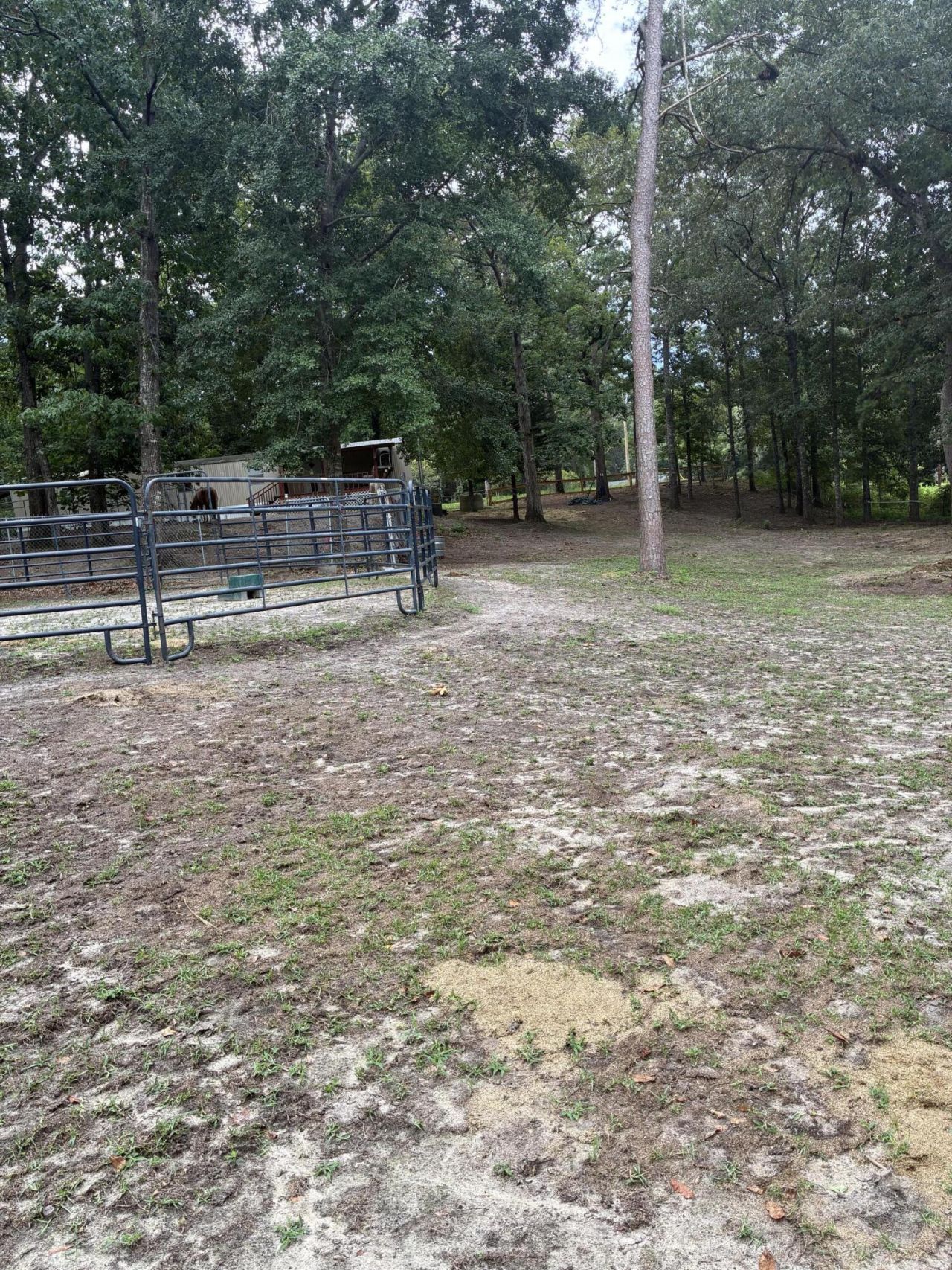 140 Edisto Drive Photo 12