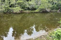 140 Edisto Drive photo 4