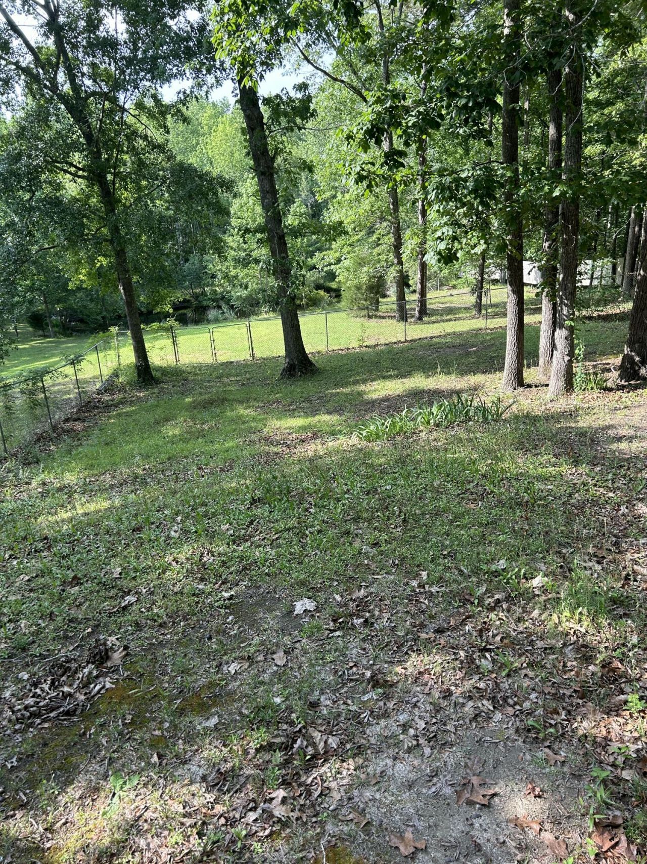 140 Edisto Drive Photo 4