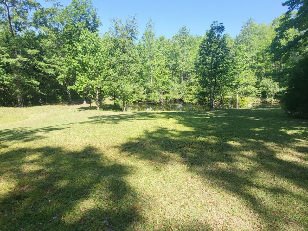 140 Edisto Drive Photo 5