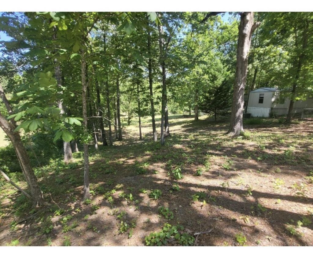 140 Edisto Drive Photo 6