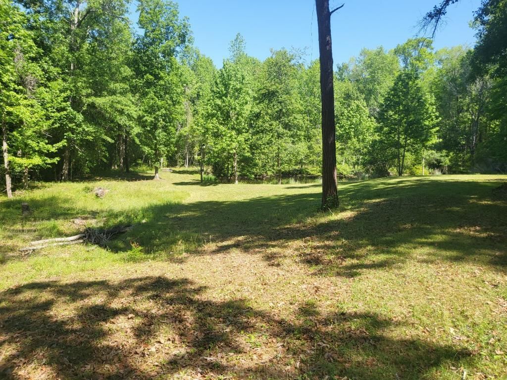 140 Edisto Drive Photo 7