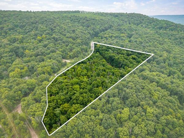 00 Old Bon Air Rd, Sparta, TN 38583