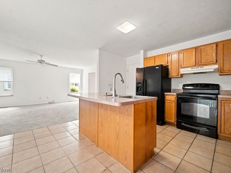 1115 Bryce Avenue , Aurora, OH 44202 Photo 9