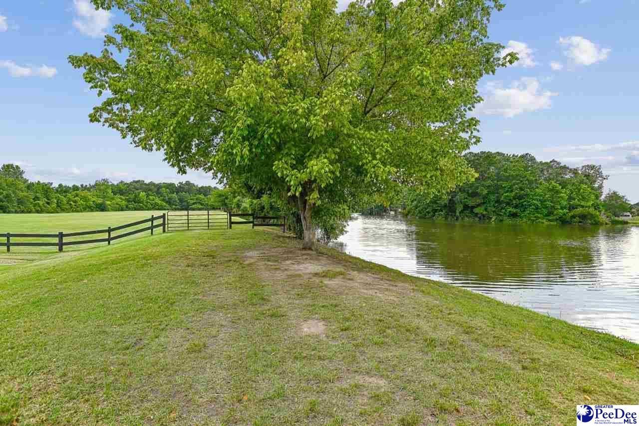 243 Emerald Isle Photo 51