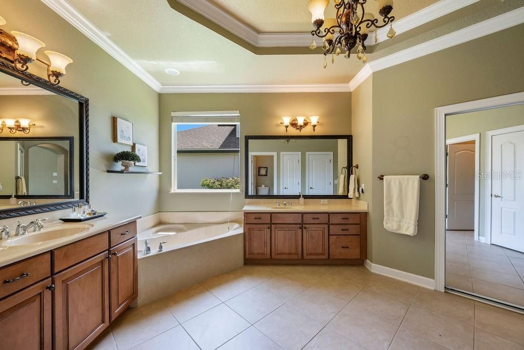 13624 Larsen Lane, Winter Garden, FL 34787 Photo