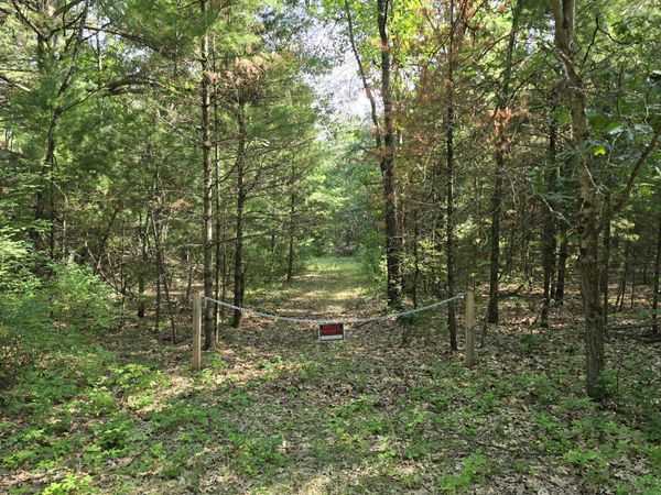VL E Michland Path, White Cloud, MI 49349