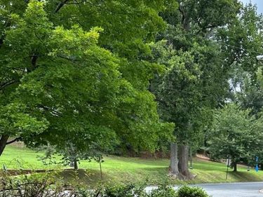 920 CORNELL ST, FREDERICKSBURG, VA 22401