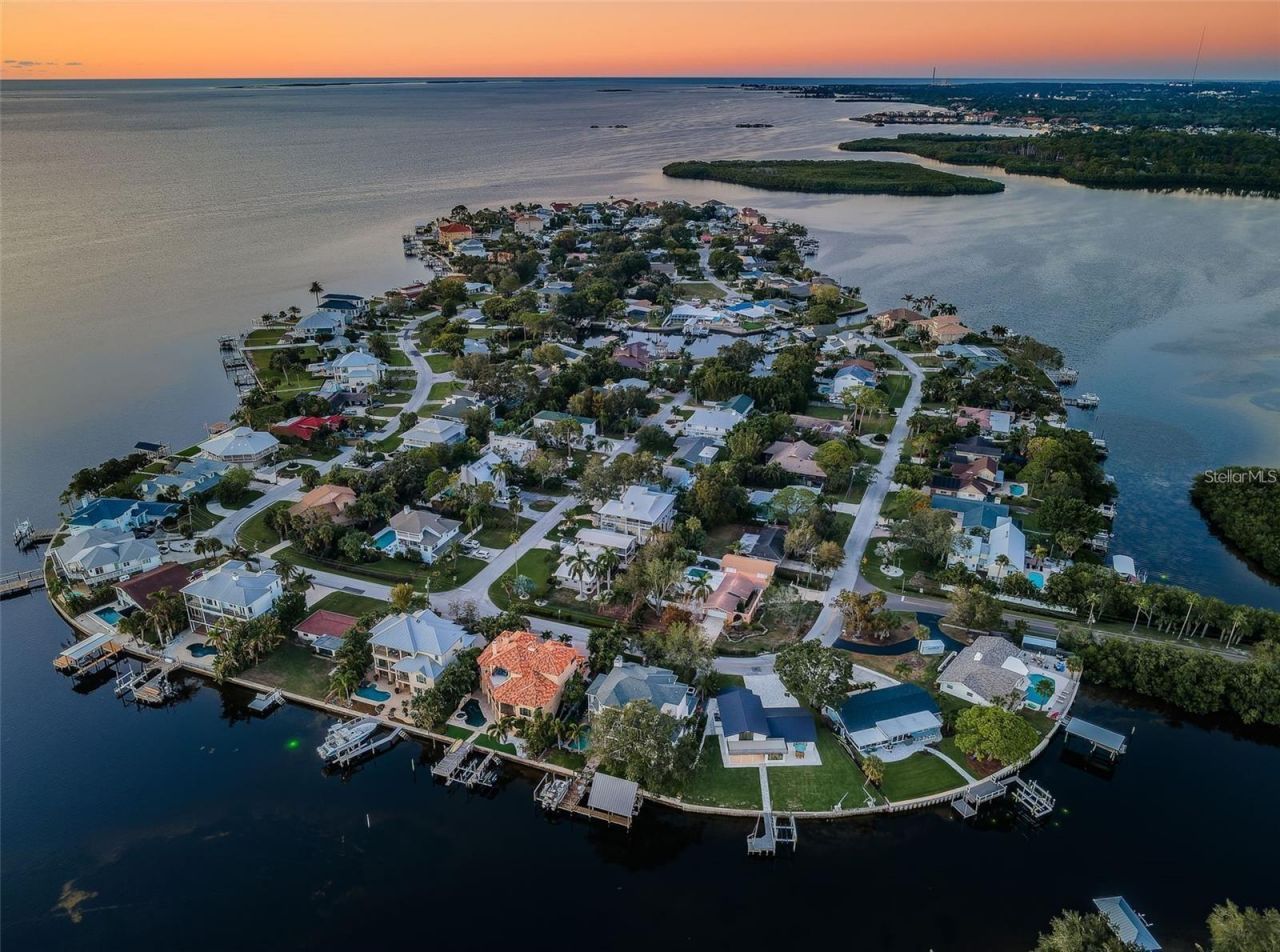105 Augusta Avenue, Palm Harbor, FL 34683 Photo