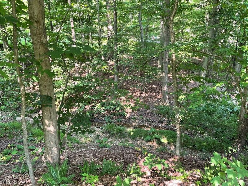 11629 Edgewood Road, Chardon, OH 44024 Photo 22