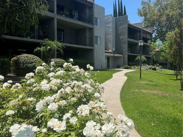 234 E Fern Avenue, Unit 106, Redlands, CA 92373